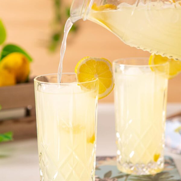 Lot de 6 Verres Highball en Cristal RCR "Orchestra Collection"