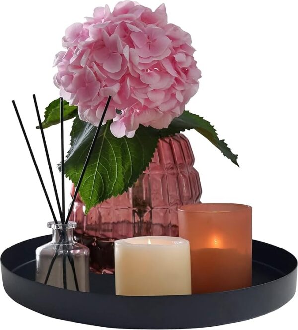 61kM0a2gCFL._AC_SX679_ Plateau décoratif